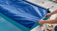 The One Winterizing Job You Should Do After The First Frost – Not Before