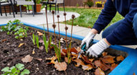 These 7 Fall Cleanup Mistakes Could Ruin Next Year's Garden – Here's What To Do Instead
