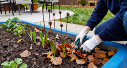 These 7 Fall Cleanup Mistakes Could Ruin Next Year's Garden – Here's What To Do Instead
