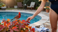 This Underrated Native Shrub Rivals Burning Bush For Fall Color – And Cardinals Love Its Berries!
