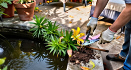 What To Do With Your Lilies In October – 5 Easy Ways To Unlock Stronger Plants And Bigger Blooms Next Year