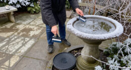 Your Bird Bath Needs More Than Fresh Water In Winter – These Tools Will Keep It Ice-Free For Visiting Wildlife