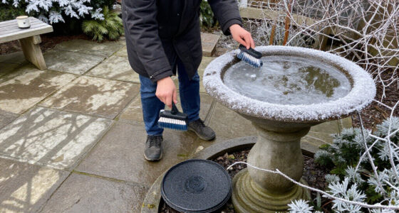 Your Bird Bath Needs More Than Fresh Water In Winter – These Tools Will Keep It Ice-Free For Visiting Wildlife